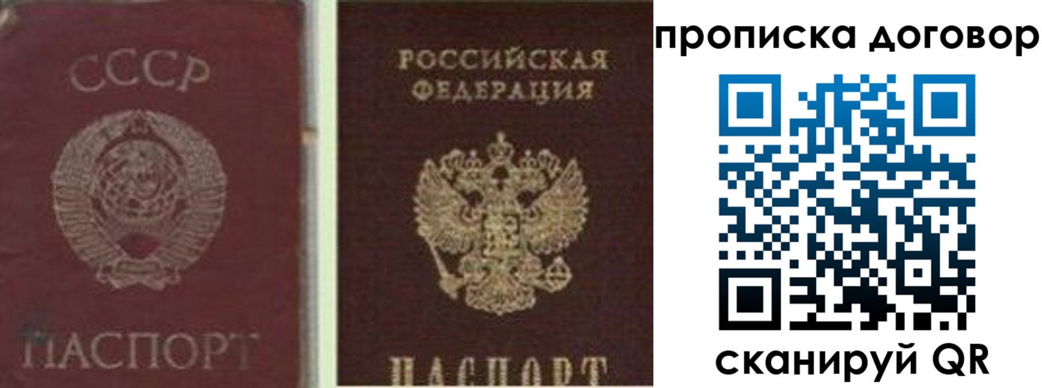 прописка гарантия в Ступино